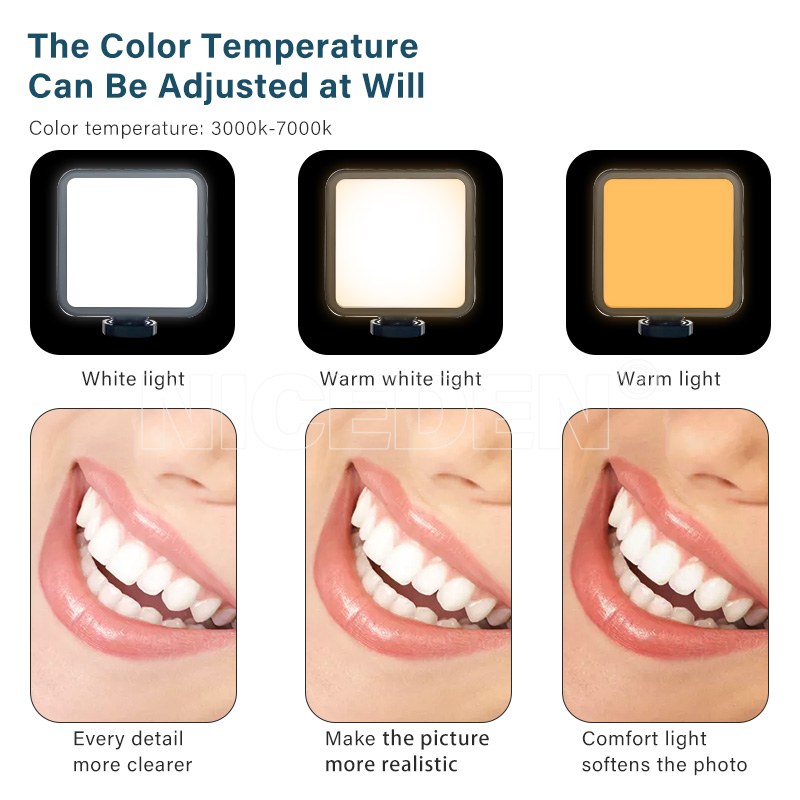 Niceden Dental portable Flash  - Photography Lighting Equipment 评论和价格