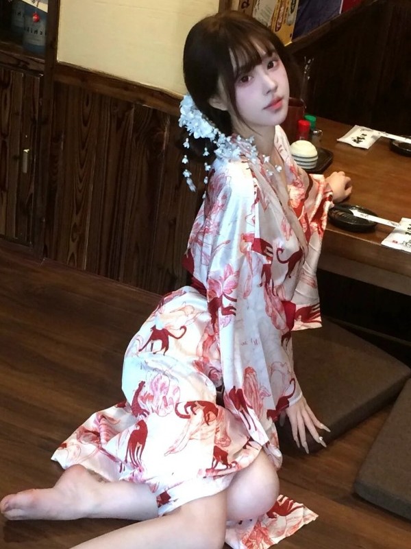 New Chinese Style Sleepwear Ha - Lighting In Photography Studio 评论和价格